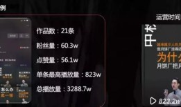 一位快手大号幕后推手的自述：如何用流水线的方式生产网红？
